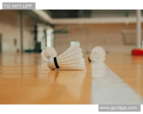 赛后分析：上海羽毛球队与杭州羽毛球队的战术意识与团队协作探讨